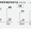 800조 농협·신협·새마을금고 예금자 보호는 덩치값 못한다﻿ 이미지