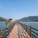 화원하나로카클리닉 | 대구 아이와 함께 가볼만한곳 추천｜주차 편한 옥포 옥연지 송해공원 주간·야간 드라이브 산책 코스...