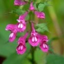 문수한의원 이미지