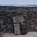 더 스테이 꽃님 이미지