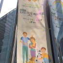 아인덴탈 | 사랑이 언니 KKF 펫 페스티벌 도그쇼 토요일 직관 후기