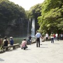 천지연 폭포 이미지