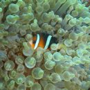 물속풍경 이미지