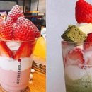 요거프레소 인사이트