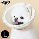 도그니엘 이미지