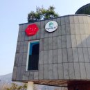 남해섬애약쑥영농조합법인 | [남해 이색체험] 오감이 만족하는 "섬애약쑥" 특별한 경험, 색다른 여행코스!!