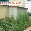 석전동260 이미지