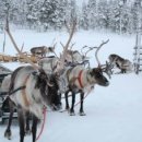 오로라캠프 이미지