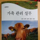 축산기능사 실기 특강 후기(청와대목장)