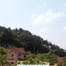 삼성골드공인중개사 옆 이미지