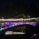 양재천 연인의 거리 이미지