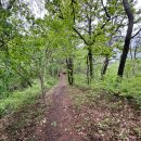 보성주차장 이미지