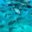 울릉도바닷가 상일펜션 이미지