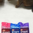 설이헤어라인 이미지