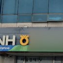 농협 직원 횡령 형사고발 미조치 "직원 감싸기" 논란 이미지