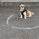 해성세탁소 이미지