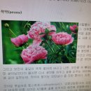 [전례, 그 능동적 참여] 신화적 접근과 실화적 접속 이미지