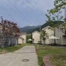잣나무솔향기 | 가평 가볼만한곳 베스트 5! 실패 없는 가평 1박 2일 데이트 코스
