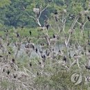 소양강민물집 이미지