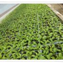 태호네농장 이미지