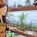 작은정원 이미지