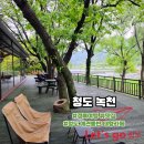 새 | 경북여행 애견동반 뷰맛집 청도 대형카페 녹천 브런치 후기