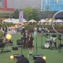 도그허니 이미지