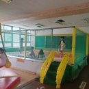 반딧불이 캠핑장 이미지