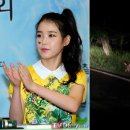 고라니 혹은 사슴 티브이데일리