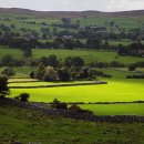 하루에 멍 이미지