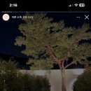 스테이아른 이미지
