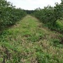 상원농장 이미지