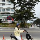 경포바이크 | 강릉여행 놀거리 경포e바이크 후기 (세인트존스 투숙객 할인 가능)
