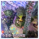 부천시단기청소년쉼터 | 2025 부천 수피아 식물원 야간개장 이용후기와 예약 주차
