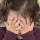 햄보나