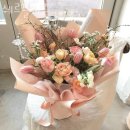 쉐르플레르