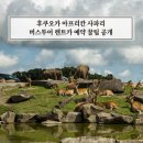 후쿠오카 아프리칸사파리 저렴한 버스투어 렌트카 예약 꿀팁