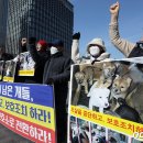 하나님께서(창 9:3)'모든 산 동물은 너희의 먹을 것이 될지라'를 반(反)하여 '개의 식용 금지 법'은 저주의 형벌을 부른 법이다! 이미지