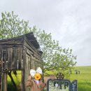 초록농장 | 고창 학원농장 청보리밭, 선운사 후기