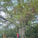 뚜레쥬르광주광역시국립공원점 | 광주광역시 국립공원 무등산 서석대 후기♡