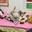 스피드메이트 강릉교동점 이미지