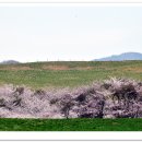 서천목장 이미지