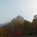 2016.11.5(토)주산지와 주왕산절골계곡 단풍걷기 이미지