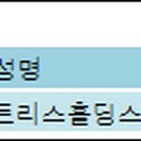 주식회사 리미트리스