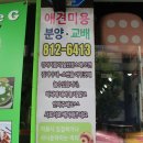 누렁이도 찰스로 애견샵 이미지