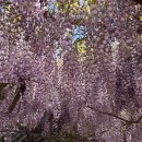 명천체험마을 이미지