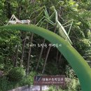 영월곤충박물관 이미지