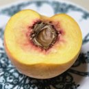 백경농장 이미지