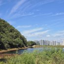 읍면 평생학습 프로그램우드버닝 | 2024 달서평생학습축제 10월 대구축제 월광수변공원