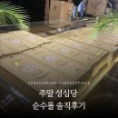 지영케이크 | 대전 성심당 롯데백화점점 순수롤 구매 후기, 주말 웨이팅은?